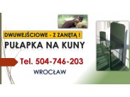 ​Pułapka na kuny, lisy, odbiór, Wrocław, tel. 504-746-2...