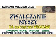 ​Zwalczanie myszy, Wrocław. tel. 504-746-203 Likwidacja s...