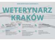 Weterynarz Kraków, przychodnia weterynaryjna Kraków