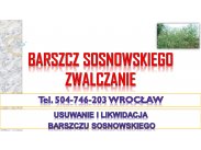 Usunięcie barszczu Sosnowskiego, cennik tel. 504-746-203. Z...