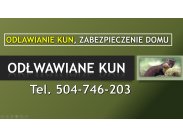 Zwalczanie kuny t. 504-746-203. Odłowienie i odstraszanie, ...