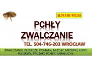 Zwalczanie pcheł, cennik tel. 504-746-203, Wrocław. Pchły...