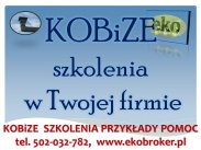 Szkolenie z raportu Kobize, tel 502032782, indywidualne, ...